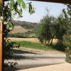 Отель Agriturismo Palazzo Bandino Италия, Кьянчиано Терме - отзывы, цены и фото номеров - забронировать отель Agriturismo Palazzo Bandino онлайн фото 5