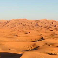 Отель Sahara Sabaku Tour Camp Марокко, Мерзуга - отзывы, цены и фото номеров - забронировать отель Sahara Sabaku Tour Camp онлайн приотельная территория фото 2