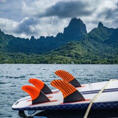 Отель Moorea Surf Bed and Breakfast Французская Полинезия, Муреа - отзывы, цены и фото номеров - забронировать отель Moorea Surf Bed and Breakfast онлайн приотельная территория