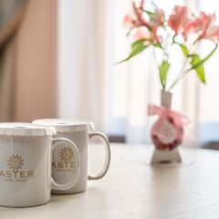 Aster Hotel Group в номере фото 2