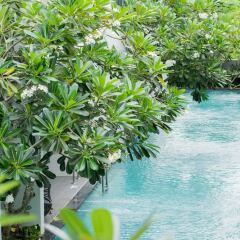 Отель My Beach Resort Phuket фото 8