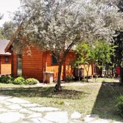 Olympos Village Ecologic Activity Hotel Кемер фото 8