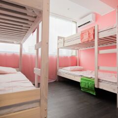 Hostel Port Sochi детские мероприятия