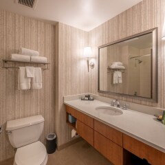 Отель The Blackwell Inn and Pfahl Conference Center США, Колумбус - отзывы, цены и фото номеров - забронировать отель The Blackwell Inn and Pfahl Conference Center онлайн ванная фото 2