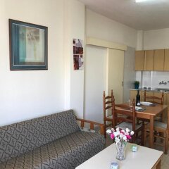 Апартаменты Terpsithea Apartments комната для гостей фото 2