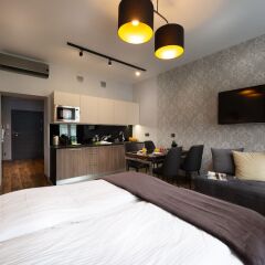 Отель Aparthotel New Lux Вроцлав удобства в номере