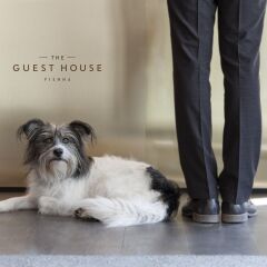 Отель The Guesthouse Vienna Австрия, Вена - отзывы, цены и фото номеров - забронировать отель The Guesthouse Vienna онлайн парковка