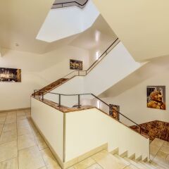 Отель CityClass Hotel Europa am Dom Германия, Кёльн - 1 отзыв об отеле, цены и фото номеров - забронировать отель CityClass Hotel Europa am Dom онлайн бассейн