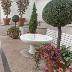 Aparto-Hotel Rosales