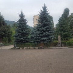 Отель Vanadzor Armenia Health Resort Армения, Дзорагет - отзывы, цены и фото номеров - забронировать отель Vanadzor Armenia Health Resort онлайн парковка