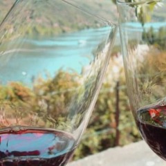 Отель Holiday Villa in Douro Valley пляж