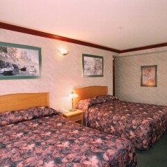 Отель Robsonstrasse Hotel & Suites Канада, Ванкувер - отзывы, цены и фото номеров - забронировать отель Robsonstrasse Hotel & Suites онлайн комната для гостей фото 4
