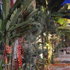 Отель Viet House Homestay фото 6