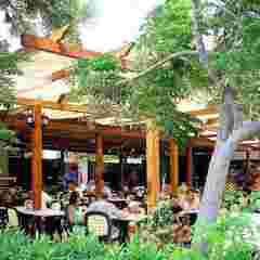 Pavlo Napa Beach Hotel in Ayia Napa, Cyprus from 144$, photos, reviews - zenhotels.com photo 2