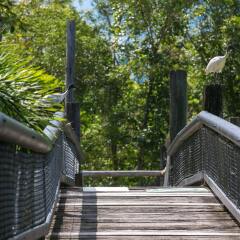Отель Daintree Wild Zoo & Bed and Breakfast сауна