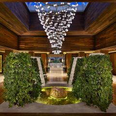 Отель Banana Island Resort Doha By Anantara спа