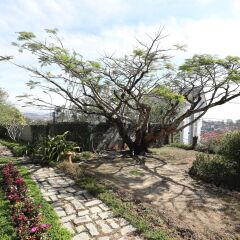 Отель Sol House Dalat Homestay Далат фото 12