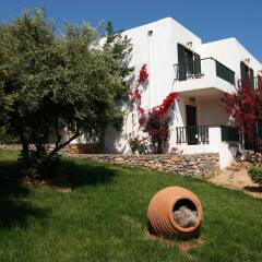 Hersonissos Village Hotel & Bungalows развлечения