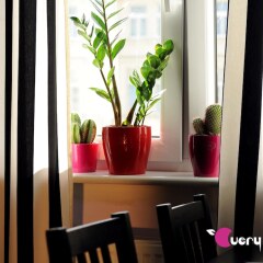 Very Berry Hostel удобства в номере