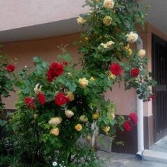Lazur Hotel Равда фото 2