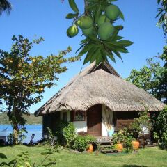 Отель Bora Bora Bungalove Французская Полинезия, Бора-Бора - отзывы, цены и фото номеров - забронировать отель Bora Bora Bungalove онлайн фото 7