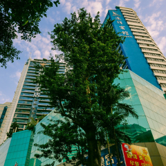 Апартаменты Ocean Plaza(Apartment) Гуанчжоу