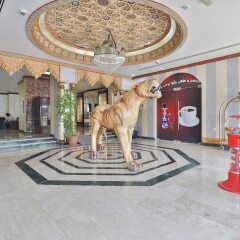 Отель Marhaba Residence ОАЭ, Аджман - отзывы, цены и фото номеров - забронировать отель Marhaba Residence онлайн развлечения