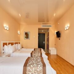 Отель Iveria Inn комната для гостей фото 16