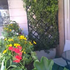 Отель Superior 5 BD & BR Apt in Vatican Area