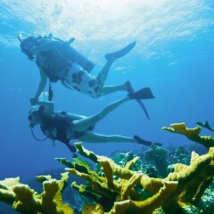 Отель Jewel Runaway Bay Beach & Golf Resort All Inclusive Ямайка, Ранавей-Бей - отзывы, цены и фото номеров - забронировать отель Jewel Runaway Bay Beach & Golf Resort All Inclusive онлайн пляж фото 2