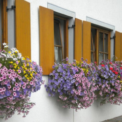 Отель Urbangut Австрия, Кремс - отзывы, цены и фото номеров - забронировать отель Urbangut онлайн интерьер отеля