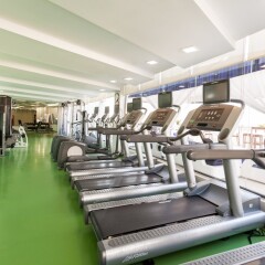 Отель Holiday Inn Dubai - Al Barsha ОАЭ, Дубай - отзывы, цены и фото номеров - забронировать отель Holiday Inn Dubai - Al Barsha онлайн фитнесс-зал фото 2