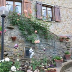 Отель B&B Locanda Della Luna Монтоне фото 15