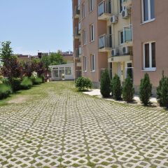 Отель Sunny Holiday Болгария, Солнечный берег - 1 отзыв об отеле, цены и фото номеров - забронировать отель Sunny Holiday онлайн фото 5
