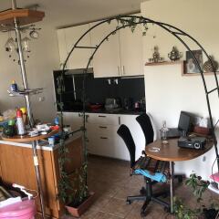 Отель Shared Flat