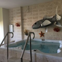 Отель Luxury Cap Cana Apartment Доминикана, Пунта Кана - отзывы, цены и фото номеров - забронировать отель Luxury Cap Cana Apartment онлайн бассейн фото 2