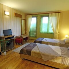 Отель Asenevtsi Болгария, Велико Тырново - отзывы, цены и фото номеров - забронировать отель Asenevtsi онлайн комната для гостей фото 4