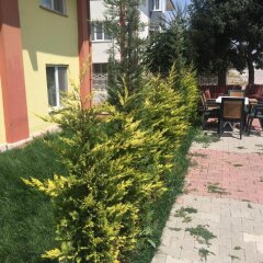 Bolu Otel Турция, Болу - отзывы, цены и фото номеров - забронировать отель Bolu Otel онлайн фото 2