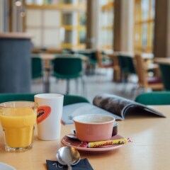 Отель Budget Rooms Gstaad гостиничный бар