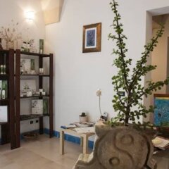 Отель Ambika B&B Италия, Лечче - отзывы, цены и фото номеров - забронировать отель Ambika B&B онлайн спа фото 2