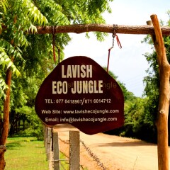 Отель Lavish Eco Jungle фото 2