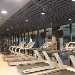 GreenPark Hotel Tianjin Тяньцзинь фитнесс-зал