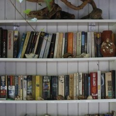 Отель Karakus Pansiyon Кемер развлечения