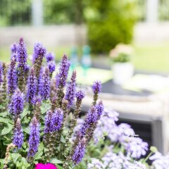 Отель Villa Solln Германия, Мюнхен - отзывы, цены и фото номеров - забронировать отель Villa Solln онлайн помещение для мероприятий