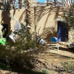 Отель Riad Tagmadart Ferme D'hôte Марокко, Загора - отзывы, цены и фото номеров - забронировать отель Riad Tagmadart Ferme D'hôte онлайн фото 20