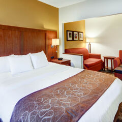 Отель Comfort Suites Longview North США, Лонгвью - отзывы, цены и фото номеров - забронировать отель Comfort Suites Longview North онлайн комната для гостей фото 2