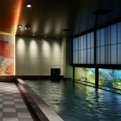 Отель Mitsui Garden Hotel Ginza gochome Япония, Токио - отзывы, цены и фото номеров - забронировать отель Mitsui Garden Hotel Ginza gochome онлайн бассейн фото 2