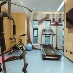 Отель ibis Xian South Gate Китай, Сиань - отзывы, цены и фото номеров - забронировать отель ibis Xian South Gate онлайн фитнесс-зал