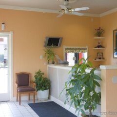 Отель Americas Best Value Inn - Milpitas интерьер отеля фото 2