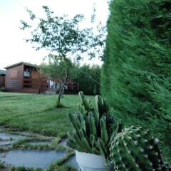 Отель La Facera - Cabañas de Madera фото 2